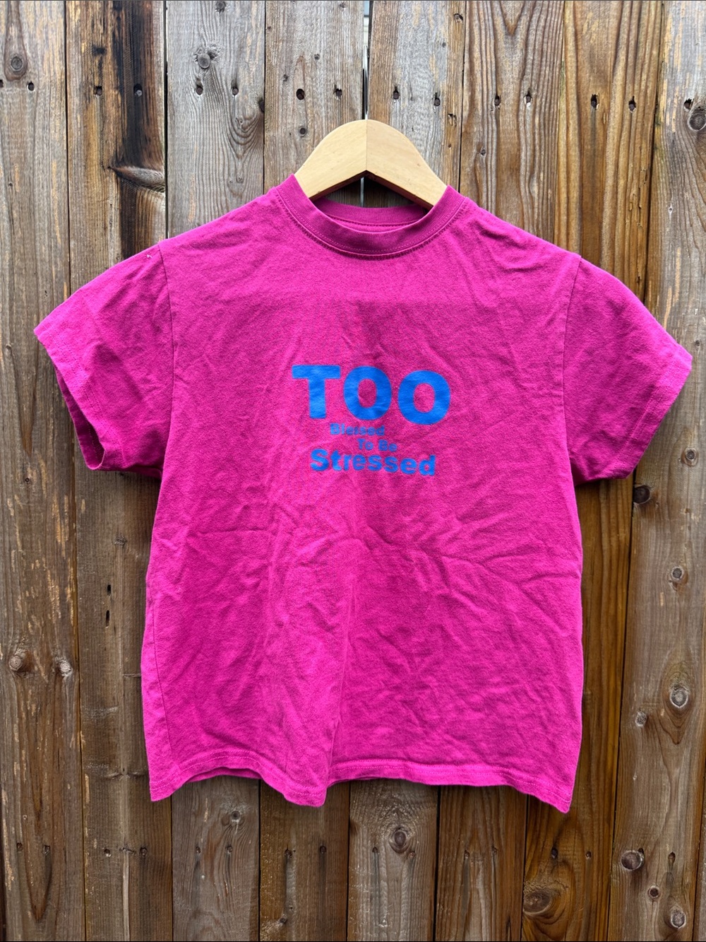 Daniel guizio graphic tee